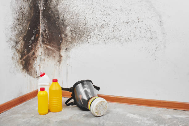 Best Mold Remediation for Specific Building Types in Westport Village, CT